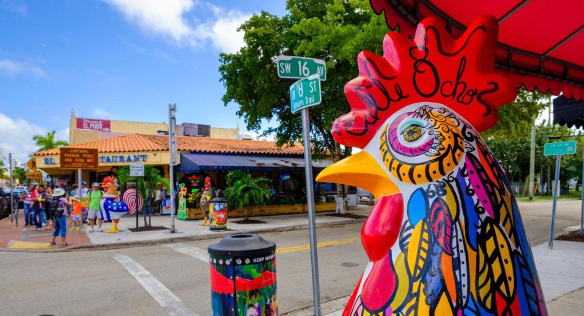 بيت شباب Little Havana ميامي المظهر الخارجي الصورة